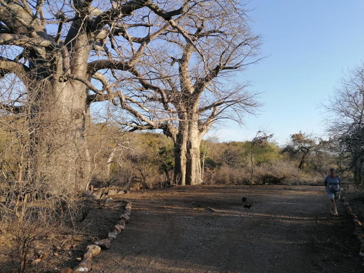 Lodge Nthakeni Bush & River Camp
